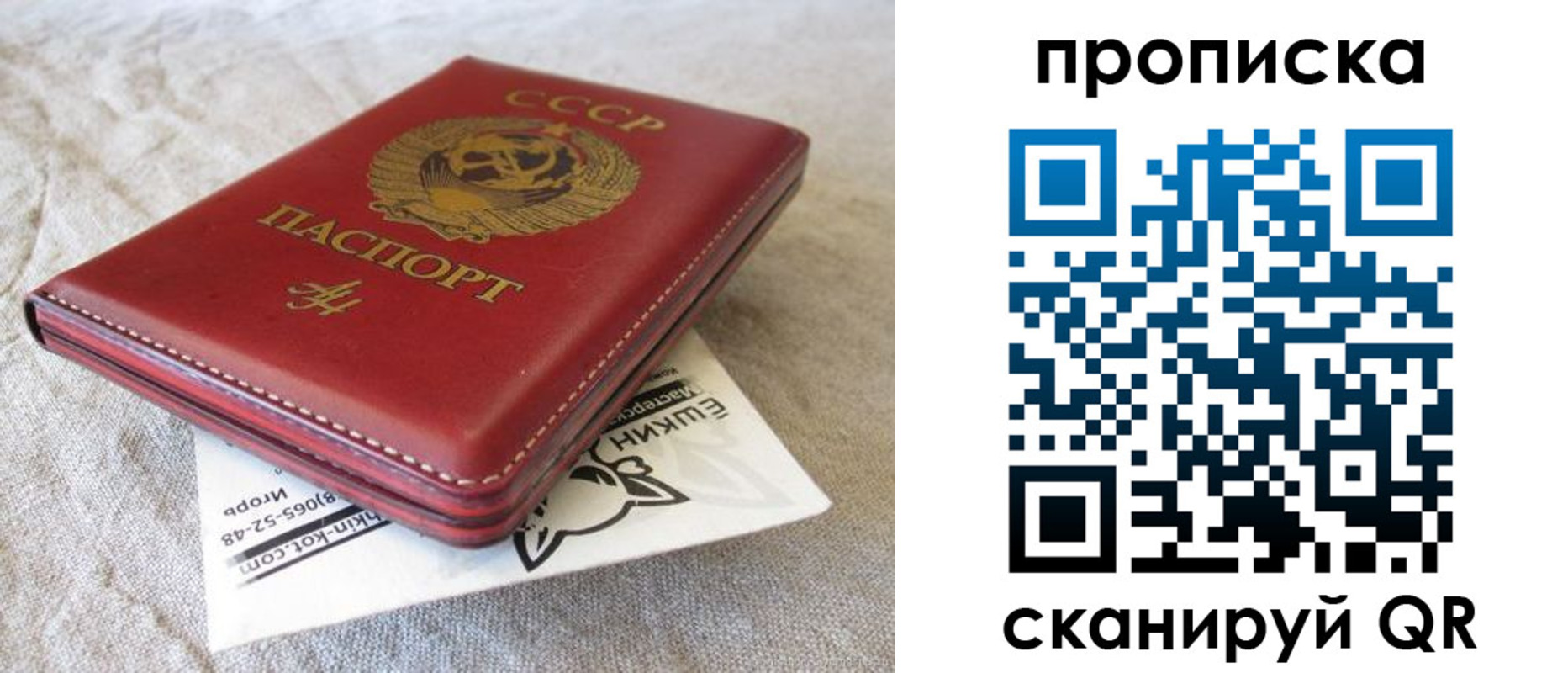 прописка для школы в Железноводске
